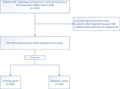 Development and Validation of a DeepSurv Nomogram to Predict Survival Outcomes and Guide Personalized Adjuvant Chemotherapy in Non-Small Cell Lung Cancer